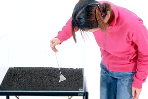 Installation d'un aquarium 5eme partie