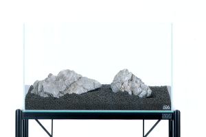 Installation d'un aquarium 6eme partie
